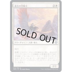 画像1: (FOIL)連合の空騎士/Coalition Skyknight《日本語》【DMU】