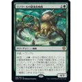 ラノワールの緑後家蜘蛛/Llanowar Greenwidow《日本語》【DMU】