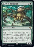 ラノワールの緑後家蜘蛛/Llanowar Greenwidow《日本語》【DMU】