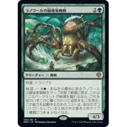 画像1: ラノワールの緑後家蜘蛛/Llanowar Greenwidow《日本語》【DMU】