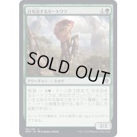 (FOIL)日光浴するルートワラ/Sunbathing Rootwalla《日本語》【DMU】