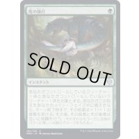(FOIL)尾の強打/Tail Swipe《日本語》【DMU】