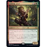 (FOIL)古代学者、メリア/Meria, Scholar of Antiquity《日本語》【DMU】