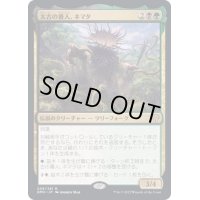 (FOIL)太古の番人、ネマタ/Nemata, Primeval Warden《日本語》【DMU】