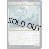 (FOIL)潮に仕えるもの、タトヨヴァ/Tatyova, Steward of Tides《日本語》【DMU】