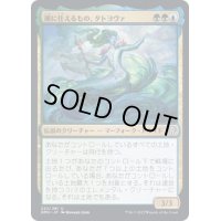 (FOIL)潮に仕えるもの、タトヨヴァ/Tatyova, Steward of Tides《日本語》【DMU】