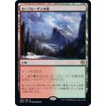 [EX](FOIL)カープルーザンの森/Karplusan Forest《日本語》【DMU】