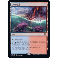 画像1: (FOIL)シヴの浅瀬/Shivan Reef《日本語》【DMU】