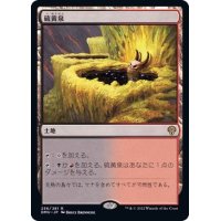 (FOIL)硫黄泉/Sulfurous Springs《日本語》【DMU】