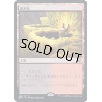 [EX](FOIL)硫黄泉/Sulfurous Springs《日本語》【DMU】