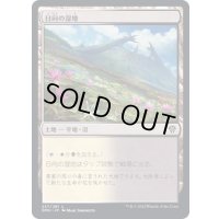 (FOIL)日向の湿地/Sunlit Marsh《日本語》【DMU】
