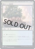 (FOIL)絡みつく島嶼域/Tangled Islet《日本語》【DMU】