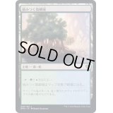 (FOIL)絡みつく島嶼域/Tangled Islet《日本語》【DMU】