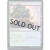 (FOIL)絡みつく島嶼域/Tangled Islet《日本語》【DMU】