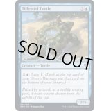 (FOIL)潮溜まりの亀/Tidepool Turtle《英語》【DMU】