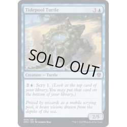 画像1: (FOIL)潮溜まりの亀/Tidepool Turtle《英語》【DMU】