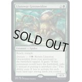 ラノワールの緑後家蜘蛛/Llanowar Greenwidow《英語》【DMU】