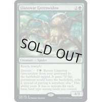 ラノワールの緑後家蜘蛛/Llanowar Greenwidow《英語》【DMU】