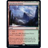 カープルーザンの森/Karplusan Forest《英語》【DMU】