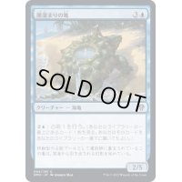 (FOIL)潮溜まりの亀/Tidepool Turtle《日本語》【DMU】