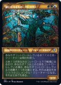 (FOIL)(ショーケース枠)潮に仕えるもの、タトヨヴァ/Tatyova, Steward of Tides《日本語》【DMU】