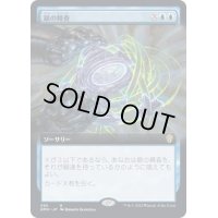 (フルアート)銀の精査/Silver Scrutiny《日本語》【DMU】
