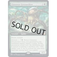 (フルアート)ラノワールの緑後家蜘蛛/Llanowar Greenwidow《英語》【DMU】