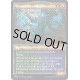 (テクスチャーFOIL)潮に仕えるもの、タトヨヴァ/Tatyova, Steward of Tides《英語》【DMU】