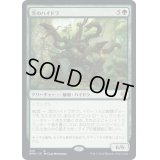 (FOIL)茨のハイドラ/Briar Hydra《日本語》【DMU】