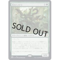 (FOIL)茨のハイドラ/Briar Hydra《日本語》【DMU】