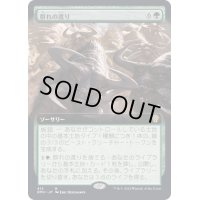 (FOIL)(フルアート)群れの渡り/Herd Migration《日本語》【DMU】