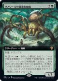 (FOIL)(フルアート)ラノワールの緑後家蜘蛛/Llanowar Greenwidow《日本語》【DMU】