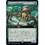 (FOIL)(フルアート)ラノワールの緑後家蜘蛛/Llanowar Greenwidow《日本語》【DMU】