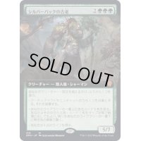 (フルアート)シルバーバックの古老/Silverback Elder《日本語》【DMU】