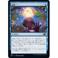 定業/Preordain《日本語》【J22】
