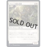 アジャニの群れ仲間/Ajani's Pridemate《日本語》【J22】