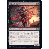 [EX+]呪われた者の王/Lord of the Accursed《日本語》【J22】