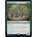 心優しきハイドラ/Benevolent Hydra《日本語》【J22】