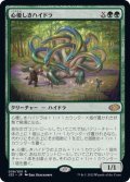 心優しきハイドラ/Benevolent Hydra《日本語》【J22】