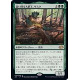 [EX+]這い回る大群王、ザスク/Zask, Skittering Swarmlord《日本語》【J22】