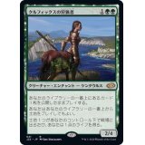 クルフィックスの狩猟者/Courser of Kruphix《日本語》【J22】