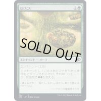 [EX+]はびこり/Overgrowth《日本語》【J22】