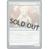 [EX+]楽園のドルイド/Paradise Druid《日本語》【J22】