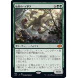 始源のハイドラ/Primordial Hydra《日本語》【J22】
