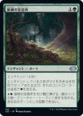 狼柳の安息所/Wolfwillow Haven《日本語》【J22】