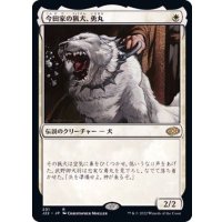 今田家の猟犬、勇丸/Isamaru, Hound of Konda《日本語》【J22】