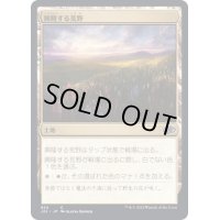 興隆する荒野/Thriving Heath《日本語》【J22】
