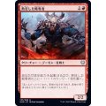 (FOIL)熱狂した略奪者/Frenzied Raider《日本語》【KHM】