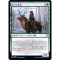 (FOIL)北方の先導/Boreal Outrider《日本語》【KHM】