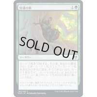 (FOIL)知識の根/Roots of Wisdom《日本語》【KHM】